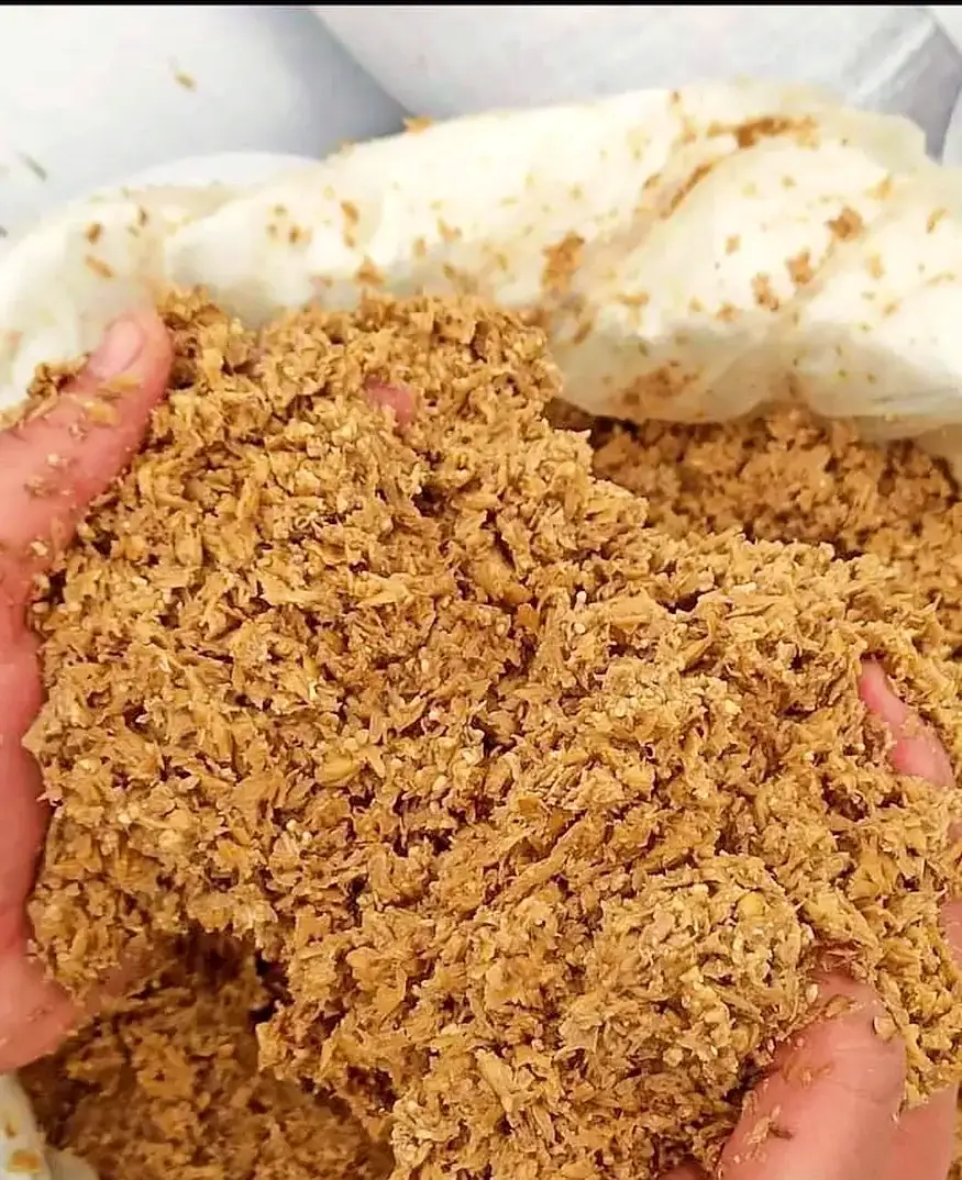 Toptan arpa küspesi — protein açısından zengin yem hammaddesi